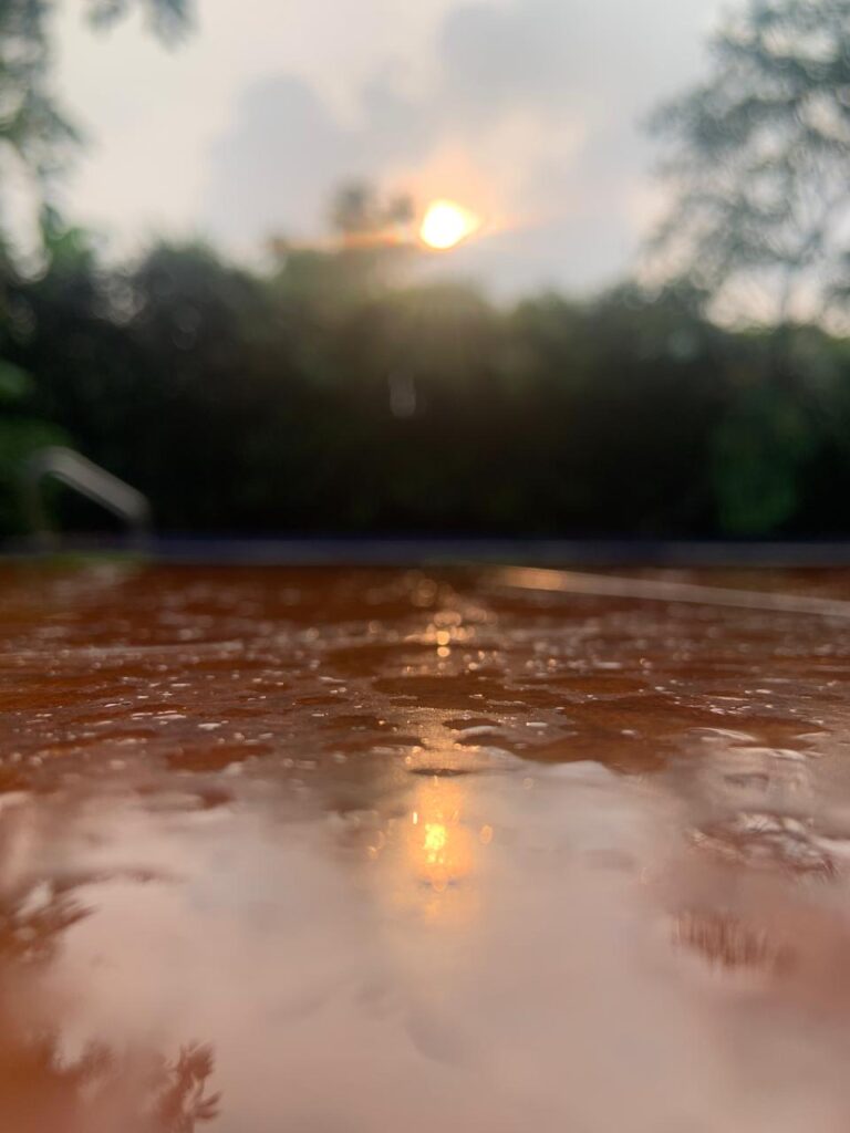 Water drops on brown ceramic tiles, relection of sun, blurred background of bushes with sun setting